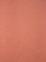 Lonita